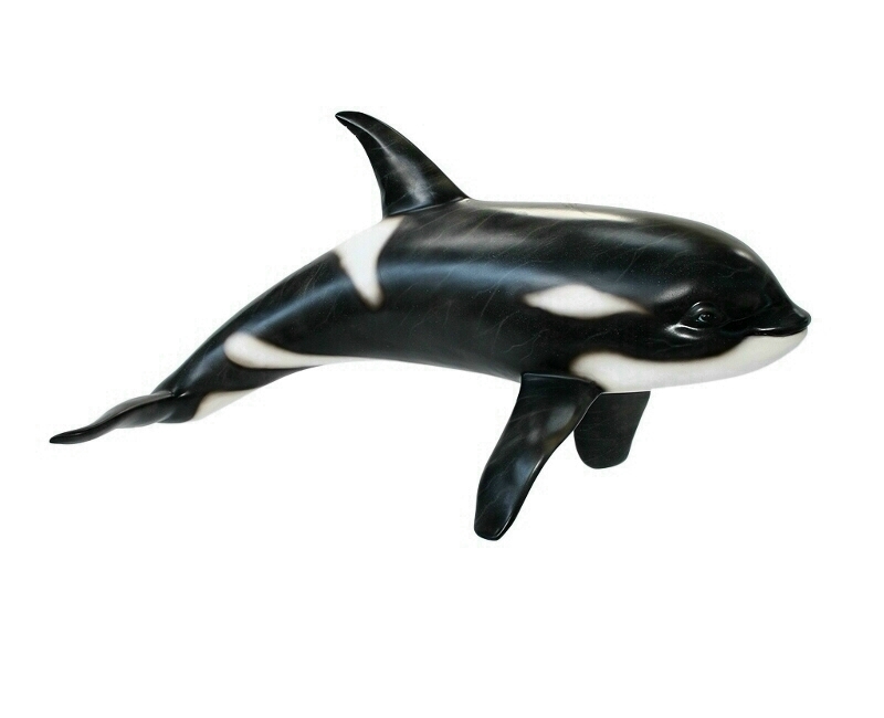 16 Foot Long - ORCA Killer Whale